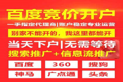 行业领先企业的SEM广告策略与效果分析